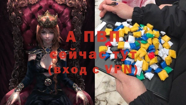 СК Магас