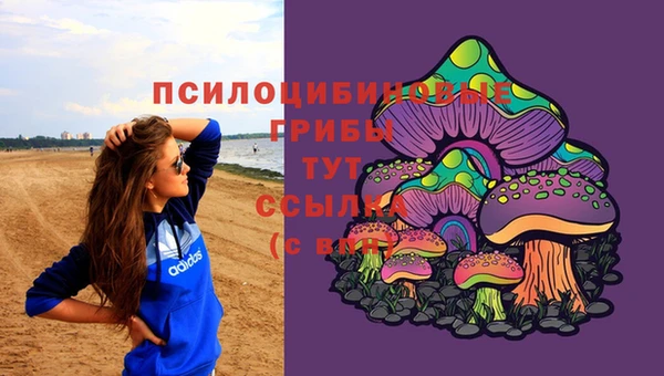 первитин Лиски