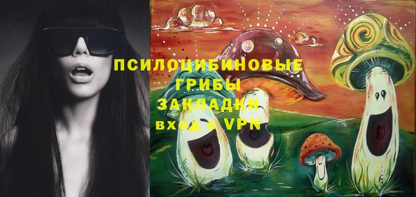 гидра Ачинск