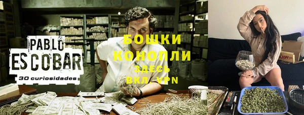 сатива Магадан