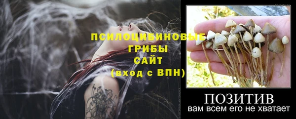 кристаллы Медногорск