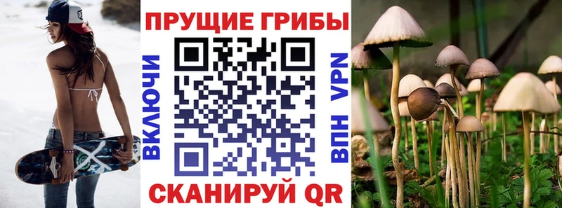 сколько стоит  кракен рабочий сайт  Галлюциногенные грибы GOLDEN TEACHER  Опочка 