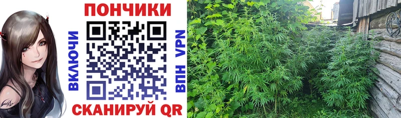 сколько стоит  Опочка  Бошки Шишки White Widow 